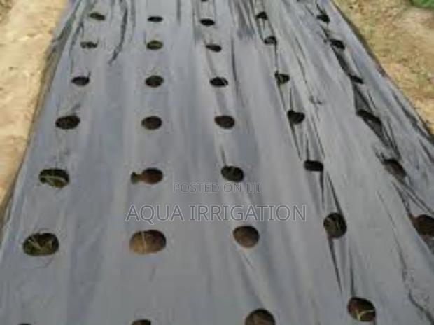 Save Water, Protect Soil With Mulch Film!
