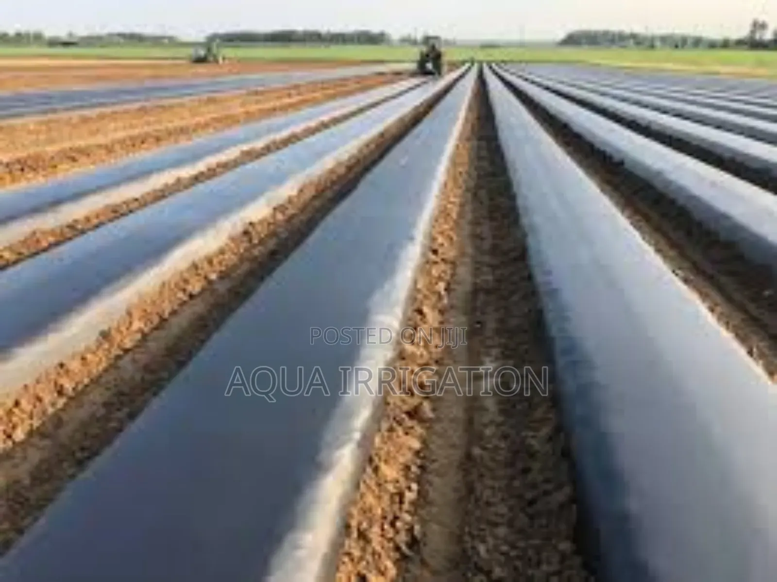 Keep Moisture in Weeds Out – Mulch Film