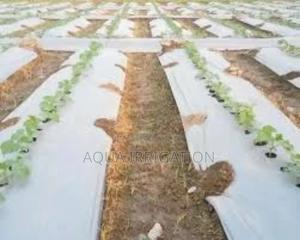 Mulch Film: More Growth, Less Water Waste! - thumbnail 2