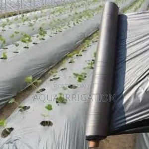 Mulch Film: More Yields, Fewer Weeds!