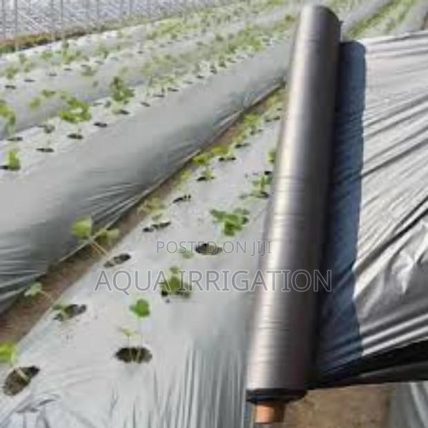 Mulch Film: More Yields, Fewer Weeds! - main view
