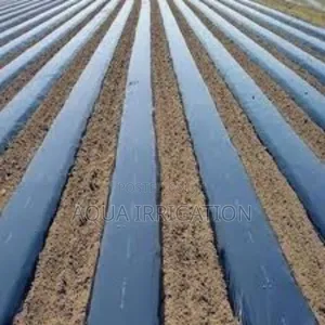 Mulch Film: The Key to Efficient Farming
