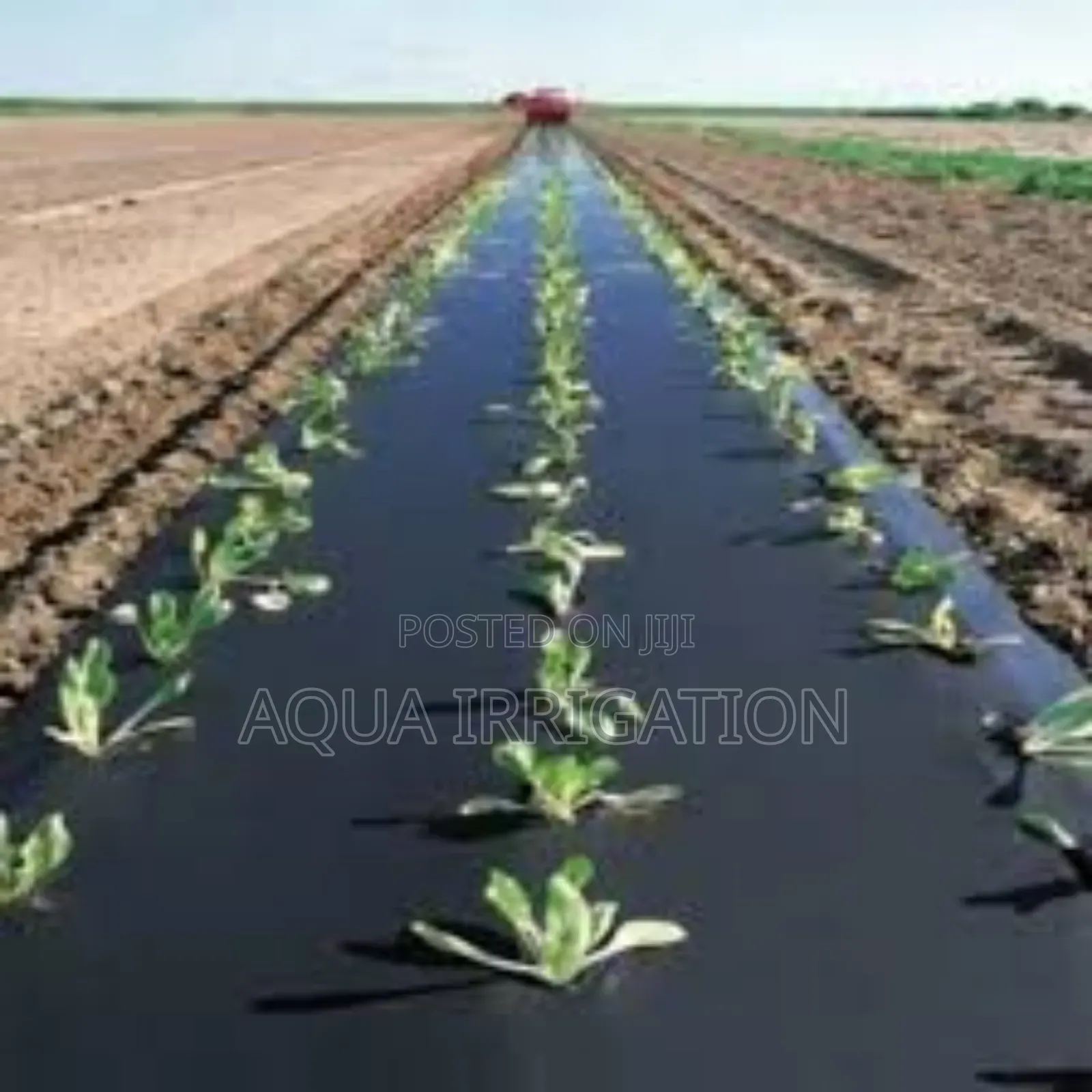 Mulch Film: Long-Lasting Protection for Crops
