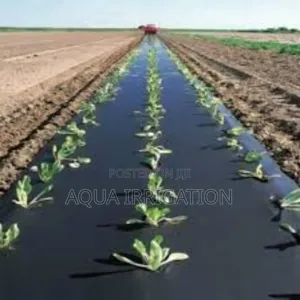 Mulch Film: Long-Lasting Protection for Crops