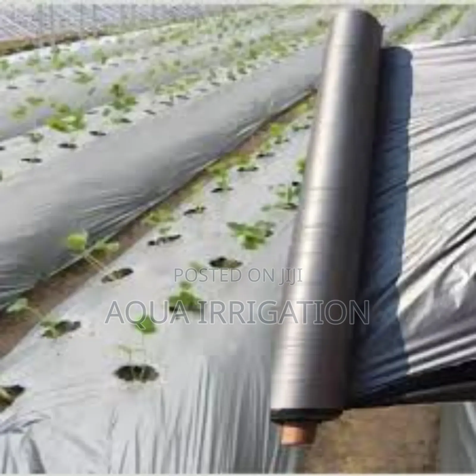 Mulch Film: The Future of Sustainable Farming