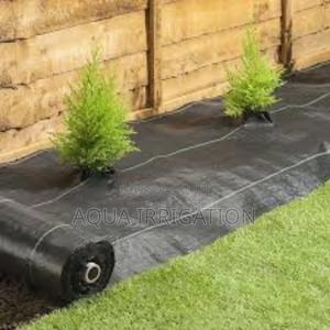 Mulch Film: More Crop, Less Effort - thumbnail 2