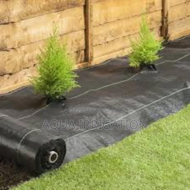Mulch Film: More Crop, Less Effort
