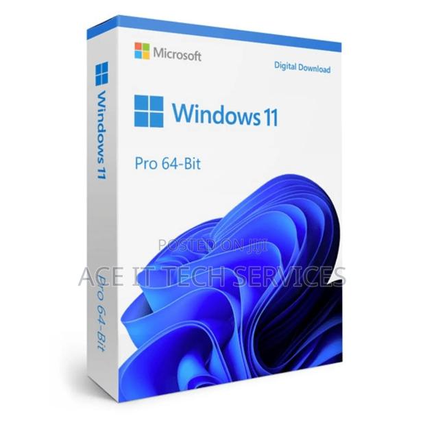 Window 11 Pro 64 Bits (Disk) - main view