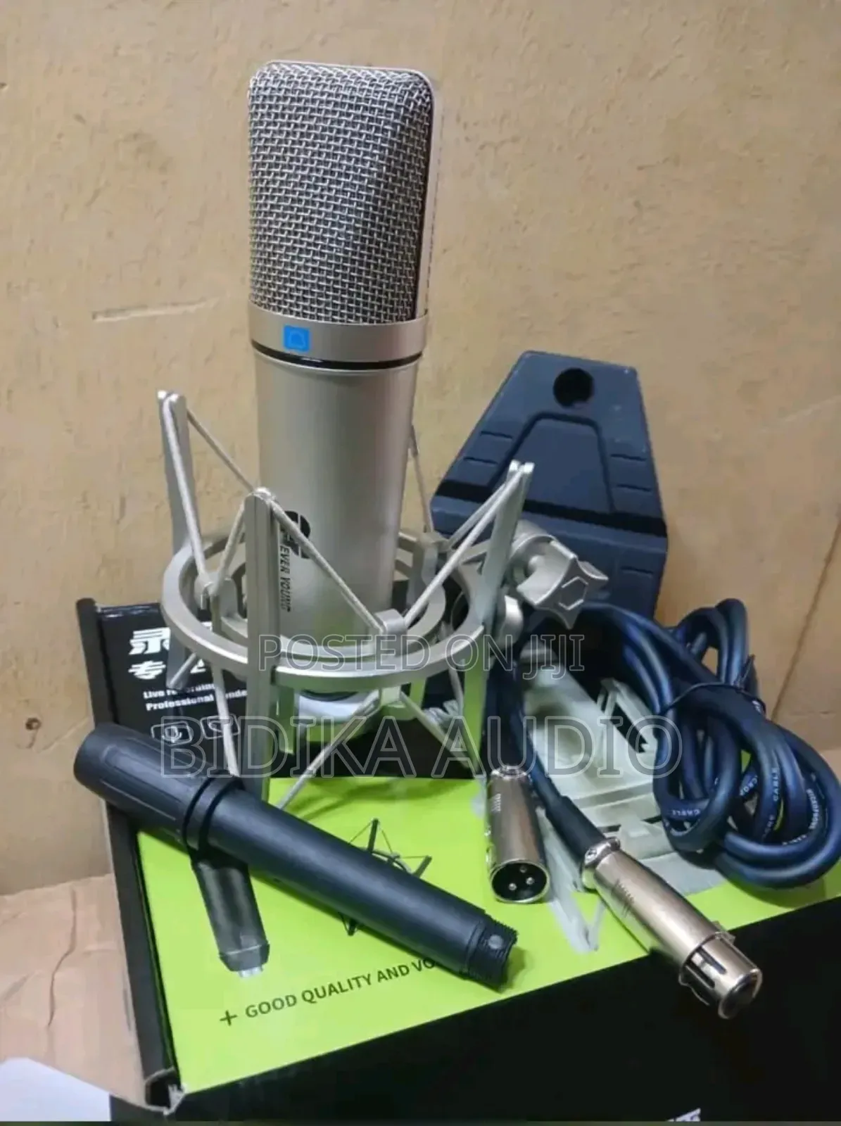 Brand New Ever Young Microphone