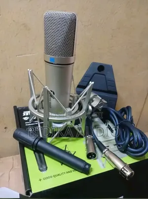 Brand New Ever Young Microphone