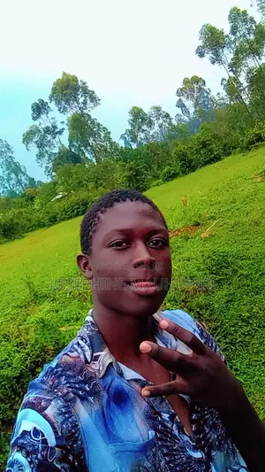 Online Jobs