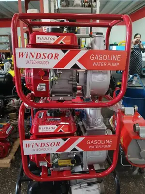 Windsor Water Pump