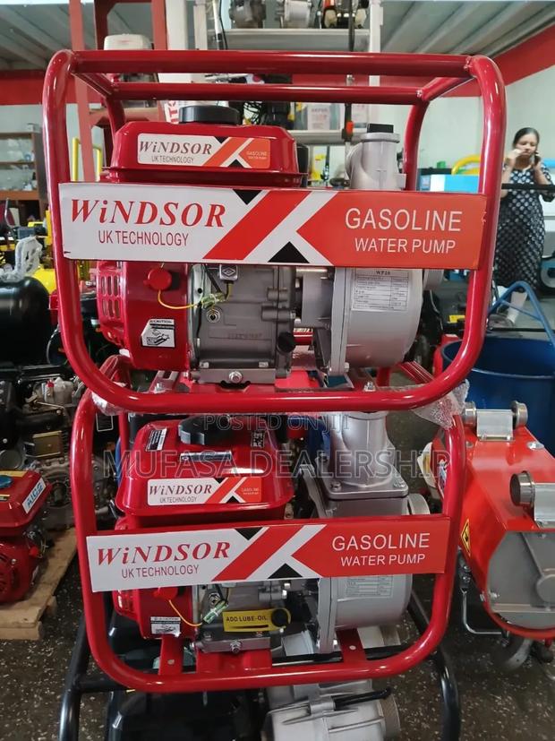 Windsor Water Pump - thumbnail 3