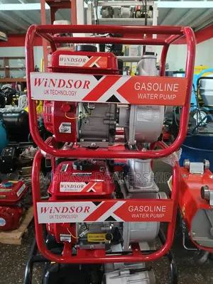 Top Quality Windsor Water Pump