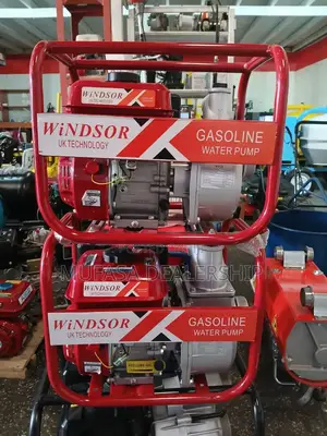 Top Quality Windsor Water Pump