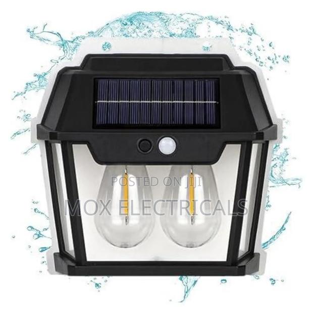 Solar Outdoor Wall Light (2 Bulbs) - main view