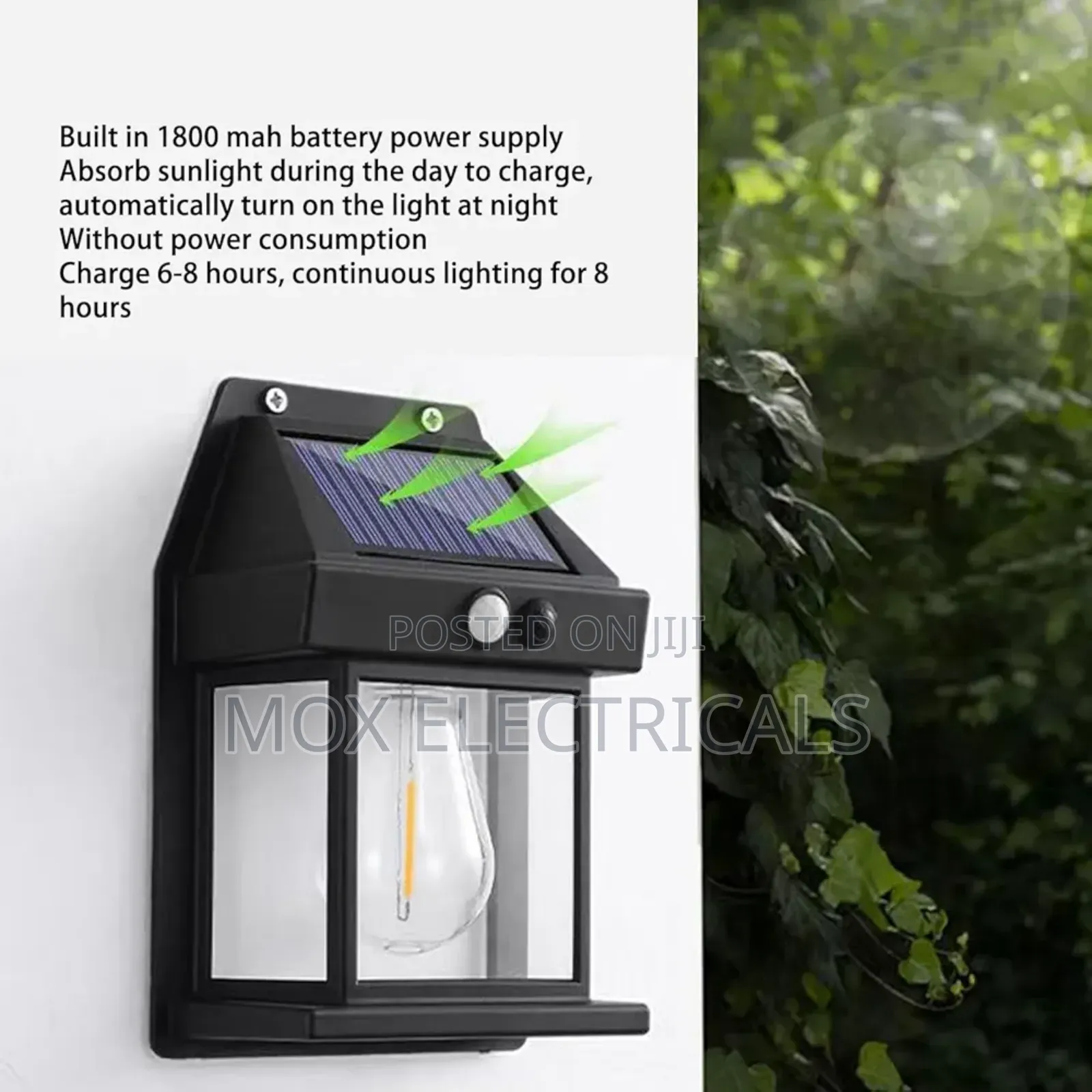 Solar Outdoor Wall Light (1 Bulb)