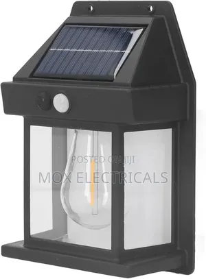 Solar Outdoor Wall Light (1 Bulb)