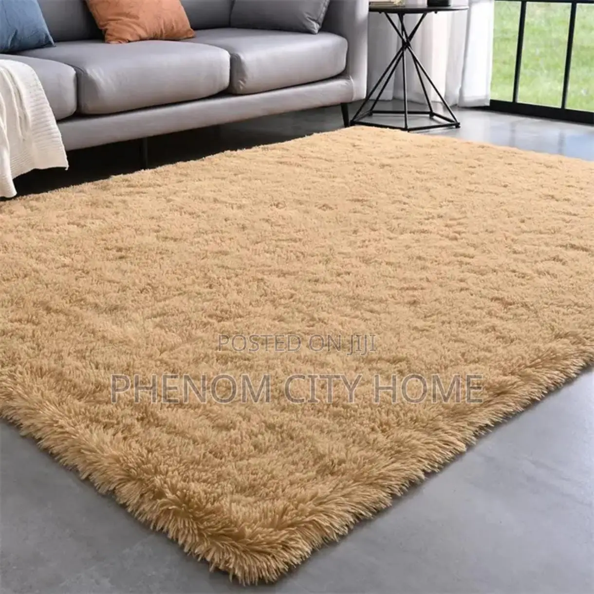 Black and Beige Affordable Carpets