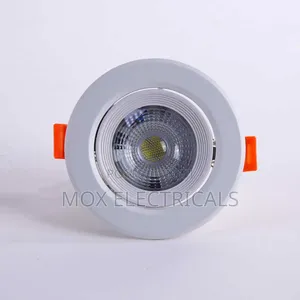 30w COB Downlighter