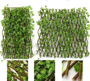 Expanding Trellis
