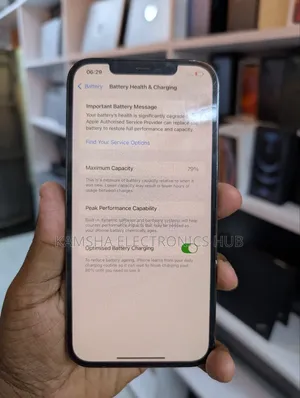 Apple iPhone 12 Pro Max 256 GB Gray