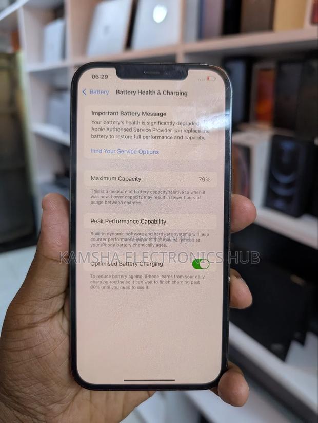 Apple iPhone 12 Pro Max 256 GB Gray - thumbnail 2