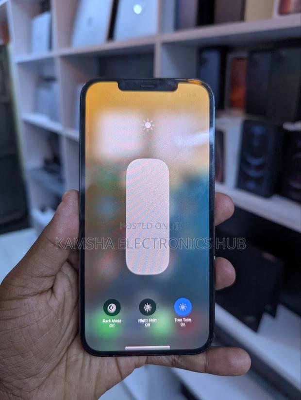 Apple iPhone 12 Pro Max 256 GB Gray - thumbnail 3