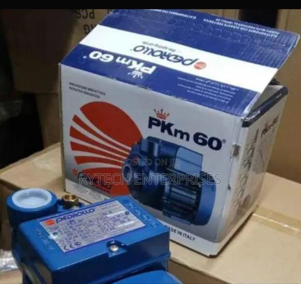 Pedrollo Water Pump/Pedrollo Water Pump - main view