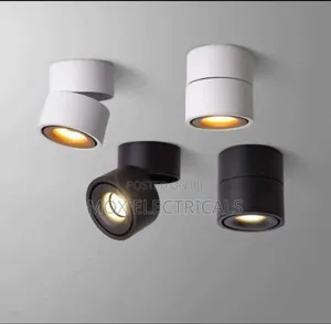 Tiltable Surface Downlighter