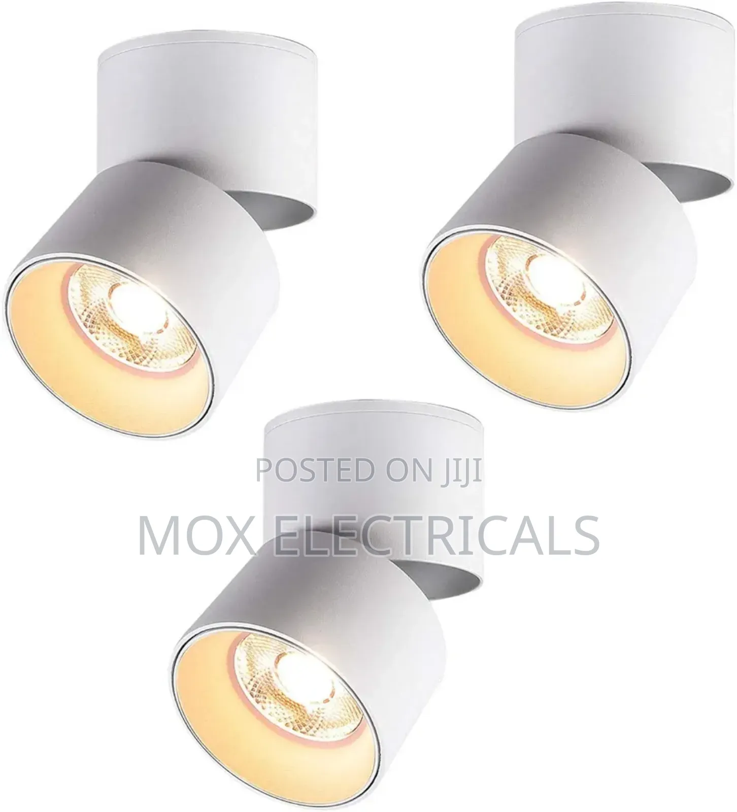 Tiltable Surface Downlighter