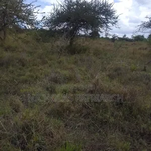 5 Acres Mua Hills (Kidaruma Area) Selling at 5.5m.Per Acre