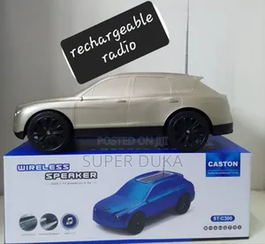 Rechargeable Radio Bluetooth Fm Usb Wireless Speaker St C300
