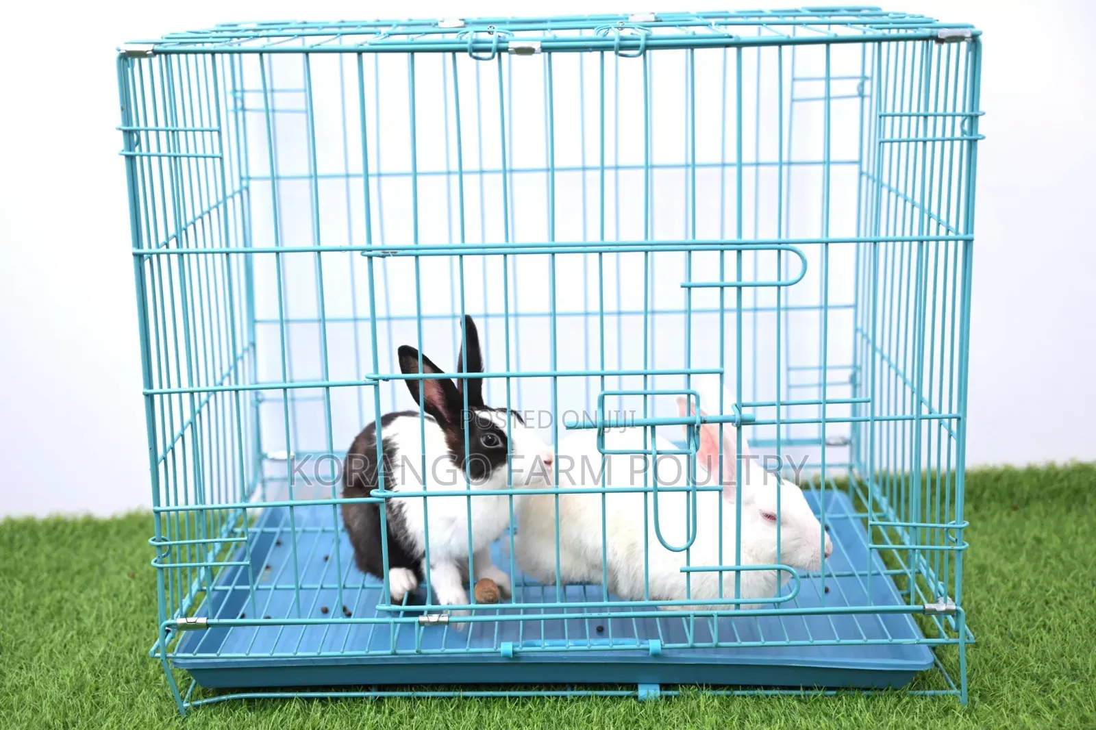 Rabbit Crates