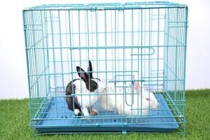 Rabbit Crates - thumbnail 2