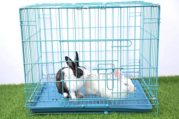 Rabbit Crates - main view