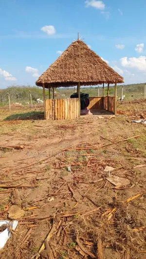 Makuti Business Shade