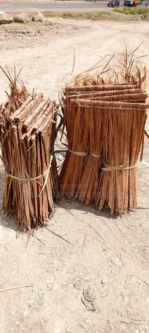 Makuti Mali Safi