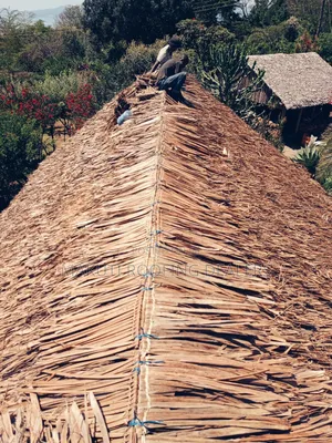 Makuti Thatchers, Professional Roofing