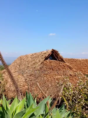 Makuti Thatchers, Professional Roofing