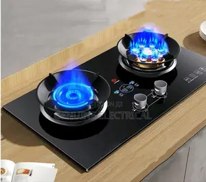 Two Burner Inbuilt Cooker