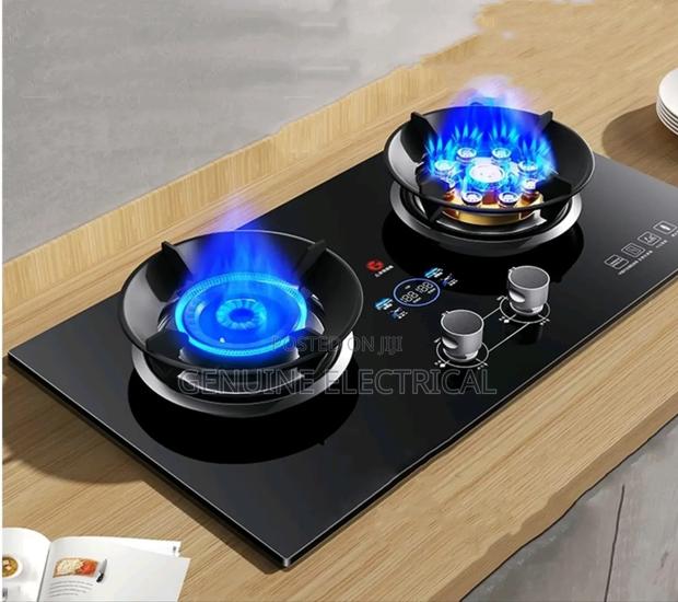 Two Burner Inbuilt Cooker