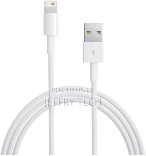Zonic iPhone Charger Lightning Cable, Apple - 1 Metre