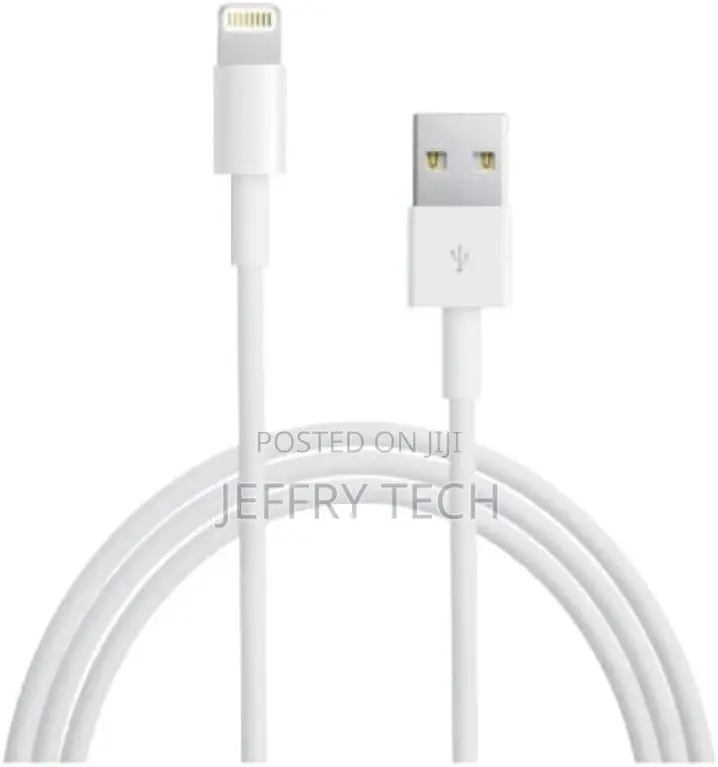 Zonic iPhone Charger Lightning Cable, Apple - 1 Metre