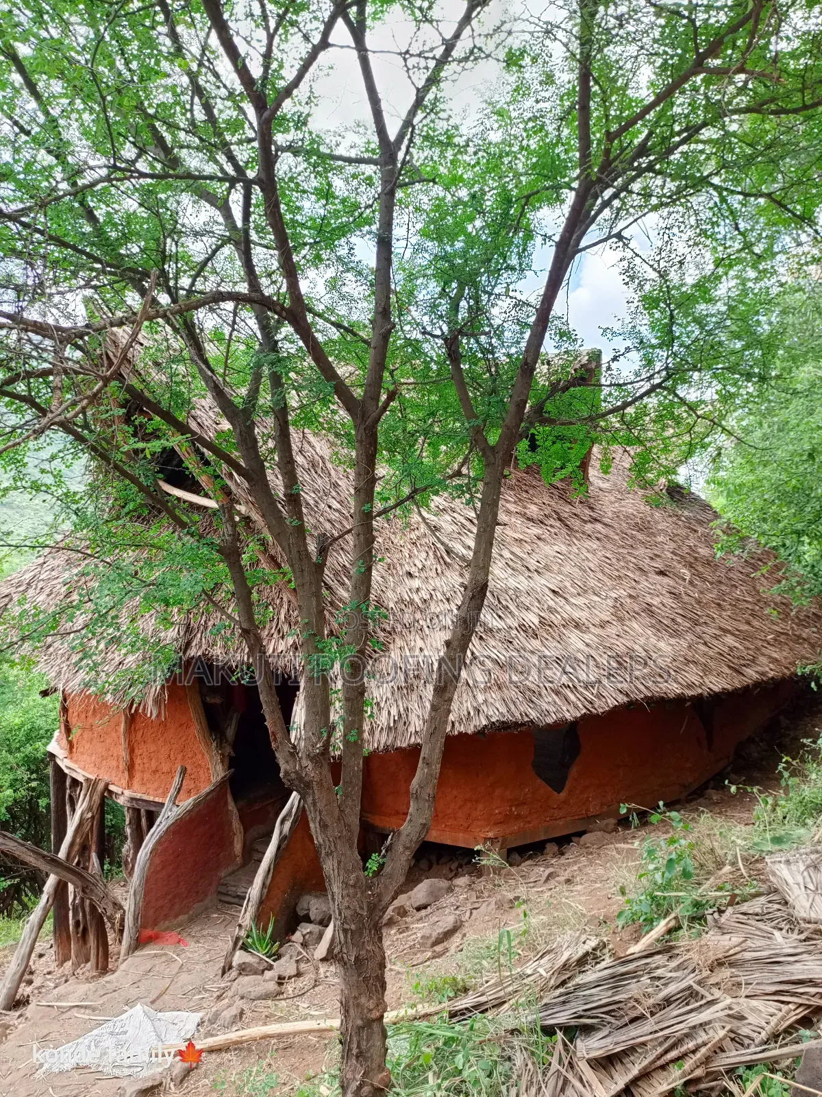 Makuti Roofing, Professional Thatchers