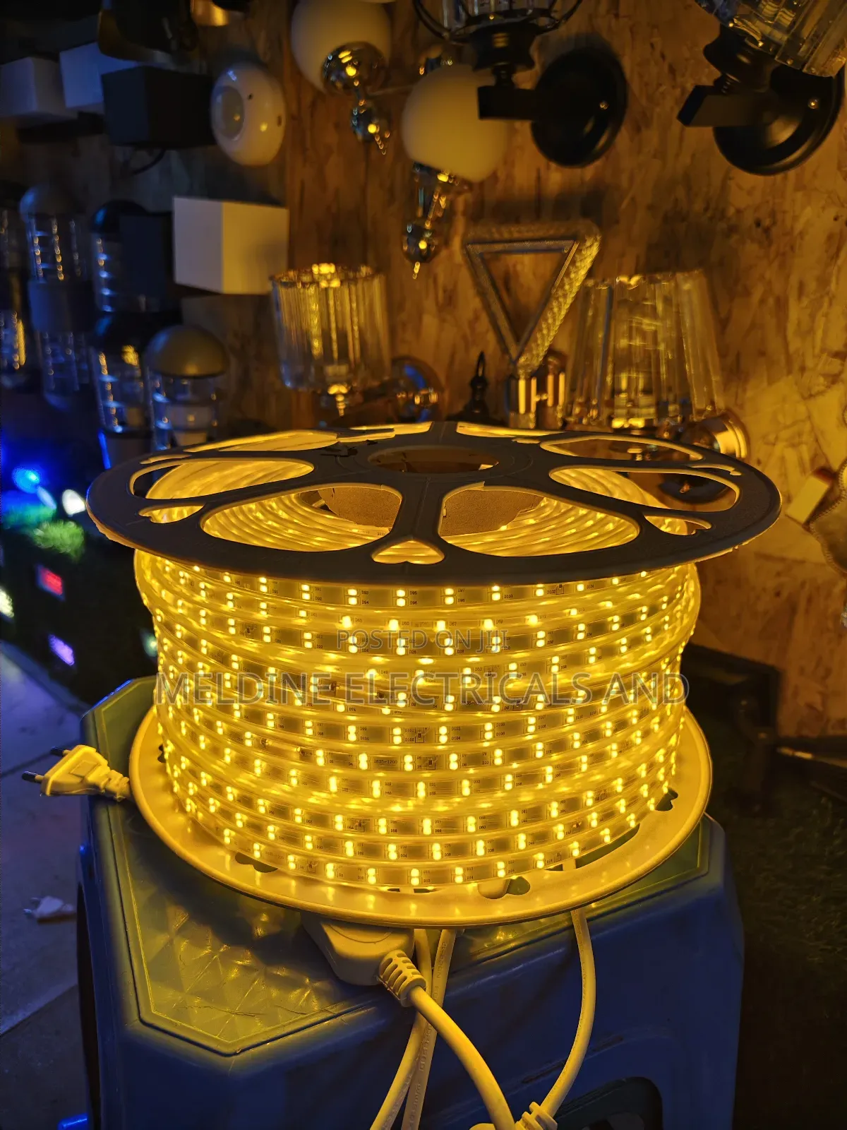 Double Line Snake Light Yellow