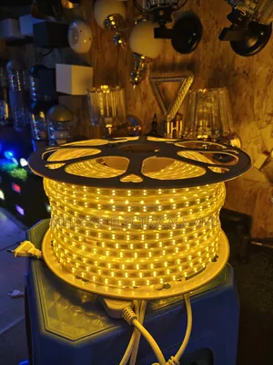 Double Line Snake Light Yellow