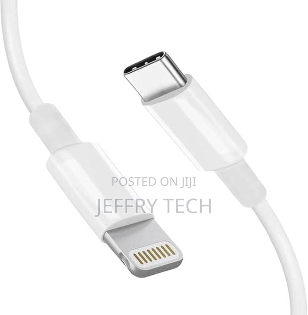 Z1197 Type C to Lightning Cable - main view