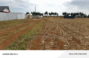 1/8 Plots Marura Chamaluk With Title