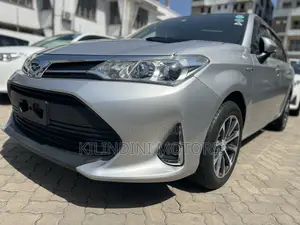 Toyota Corolla Fielder 2018 Silver